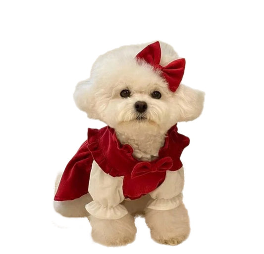 Puppy Bow Knot Dress