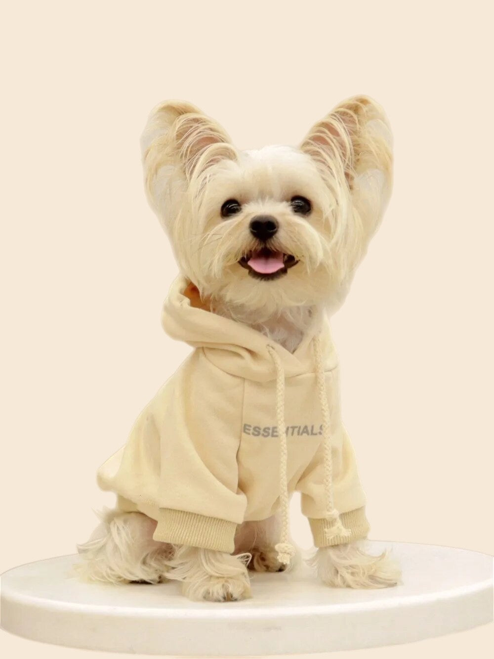 Small Dog Sweatshirt