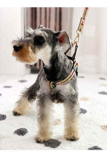 Nylon Plaid Leash Set