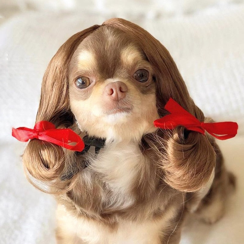 Pet Wigs: Transformative Cosplay for Dogs and Cats Halloween