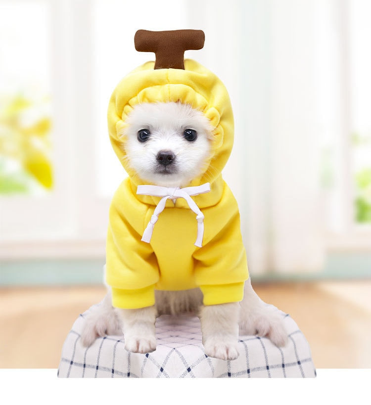 Dog Hoodie