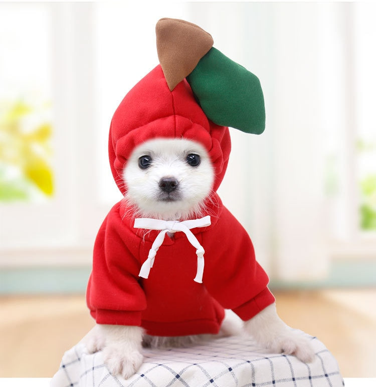 Dog Hoodie