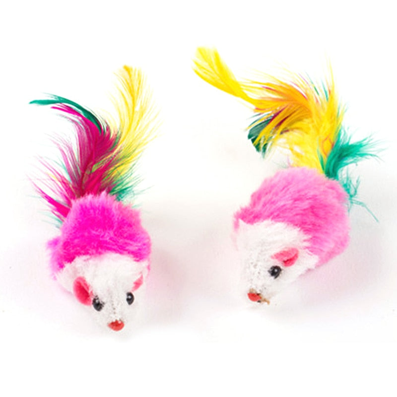 Colorful Feather Mouse