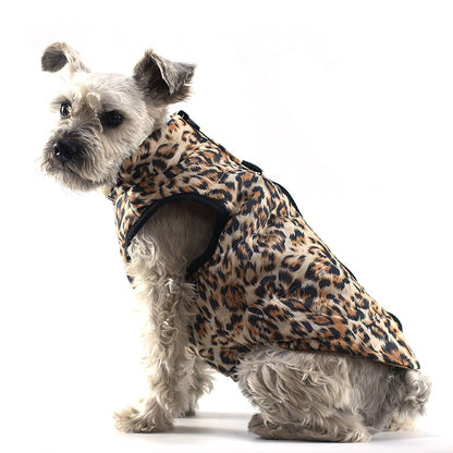 Cozy Winter Dog Attire: Warmth and Style for Small Breeds!