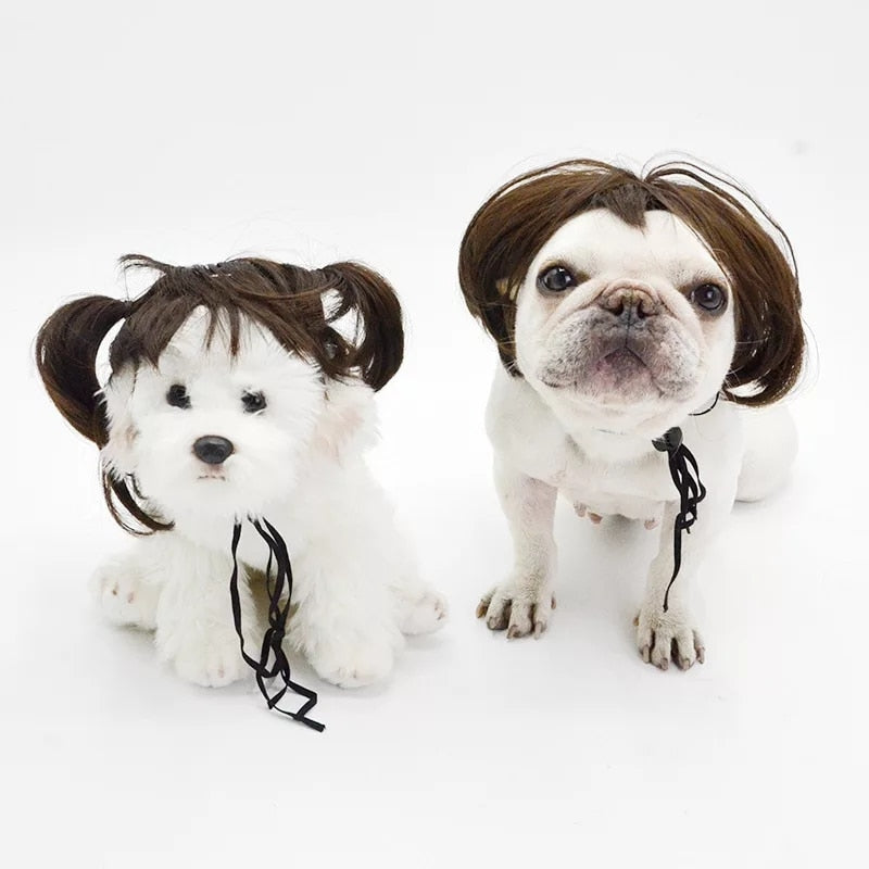 Pet Wigs: Transformative Cosplay for Dogs and Cats Halloween