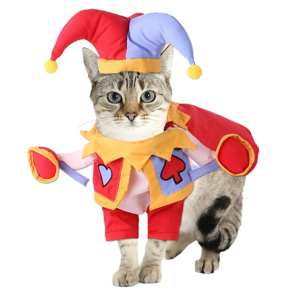 Pet Halloween Costume Collection