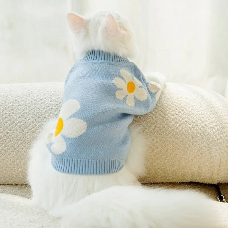 Teddy Knit Sweater