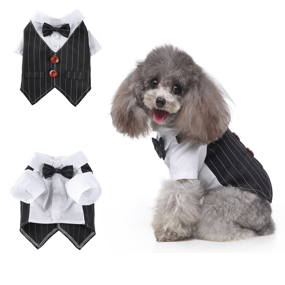 Gentleman Dog Clothes Dog Wedding Outfit