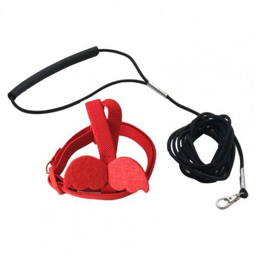 Long Cable Bird Harness Leash Anti-Bite Training