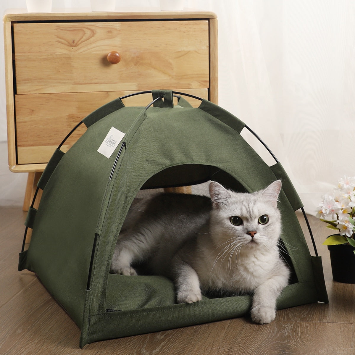 Premium Jumanji Tent Bed