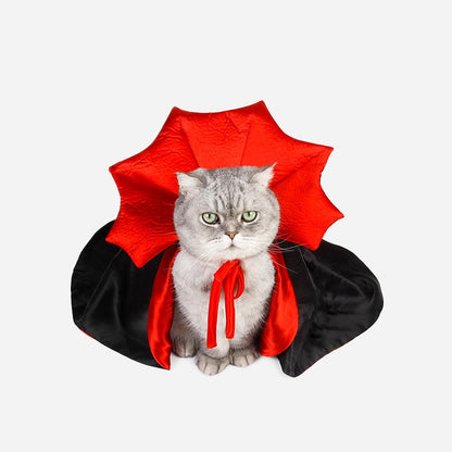 Cute Cat Vampire Halloween Costume