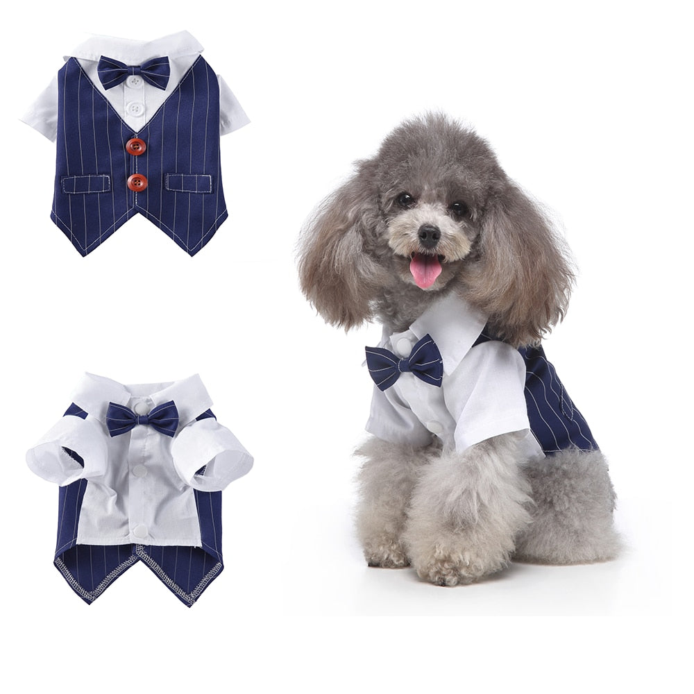 Gentleman Dog Clothes Dog Wedding Outfit