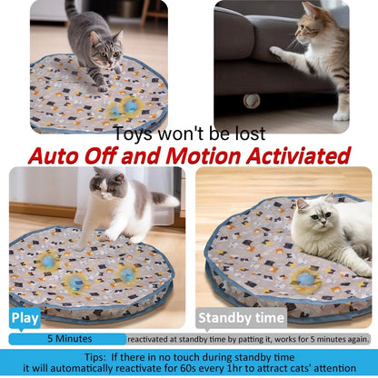 Interactive Cat Toy