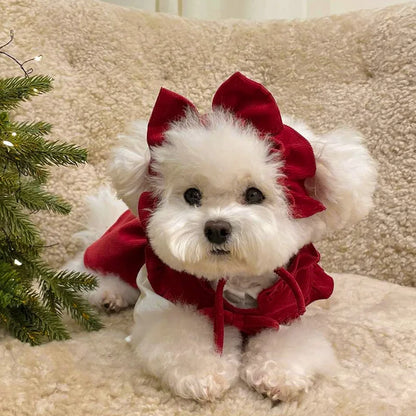 Puppy Bow Knot Dress