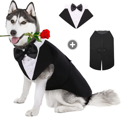 Dapper Dog Attire: Bow Tie Tuxedo, Party Dress, and More