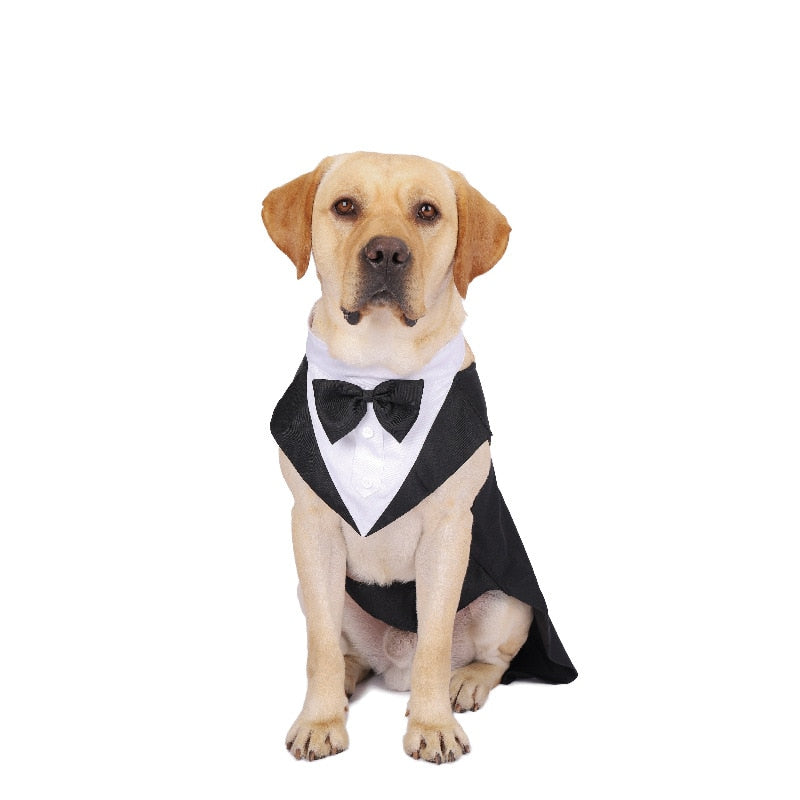 Dapper Dog Attire: Bow Tie Tuxedo, Party Dress, and More