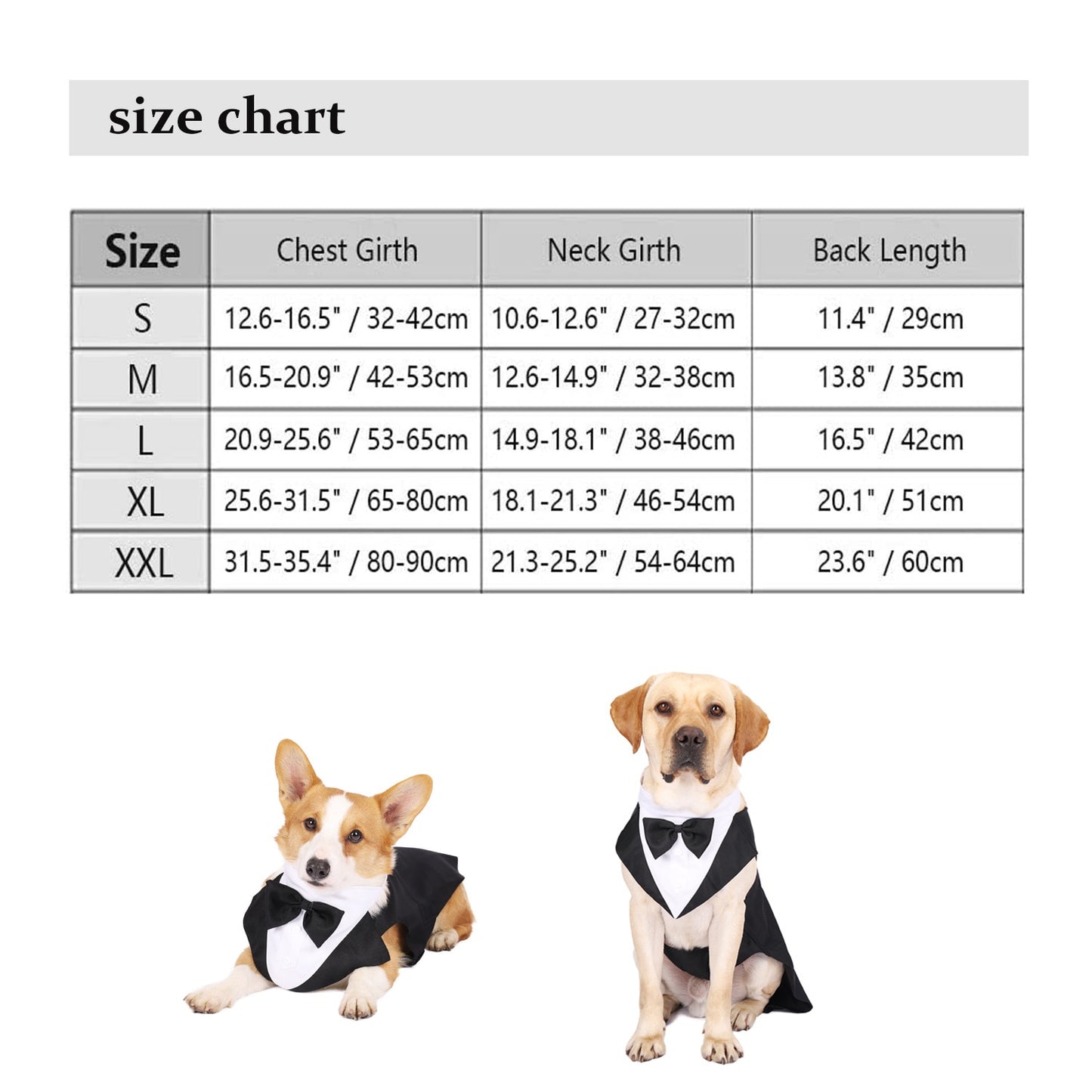 Dapper Dog Attire: Bow Tie Tuxedo, Party Dress, and More