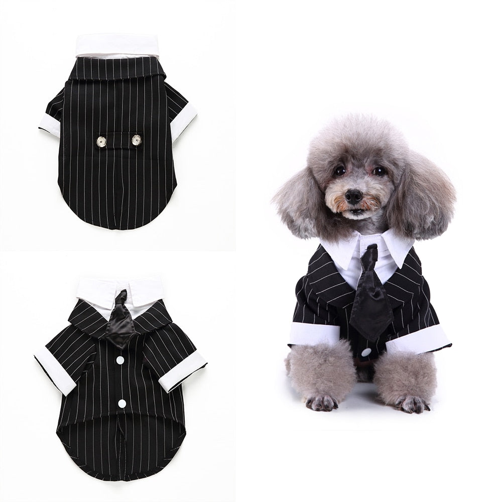 Gentleman Dog Clothes Dog Wedding Outfit