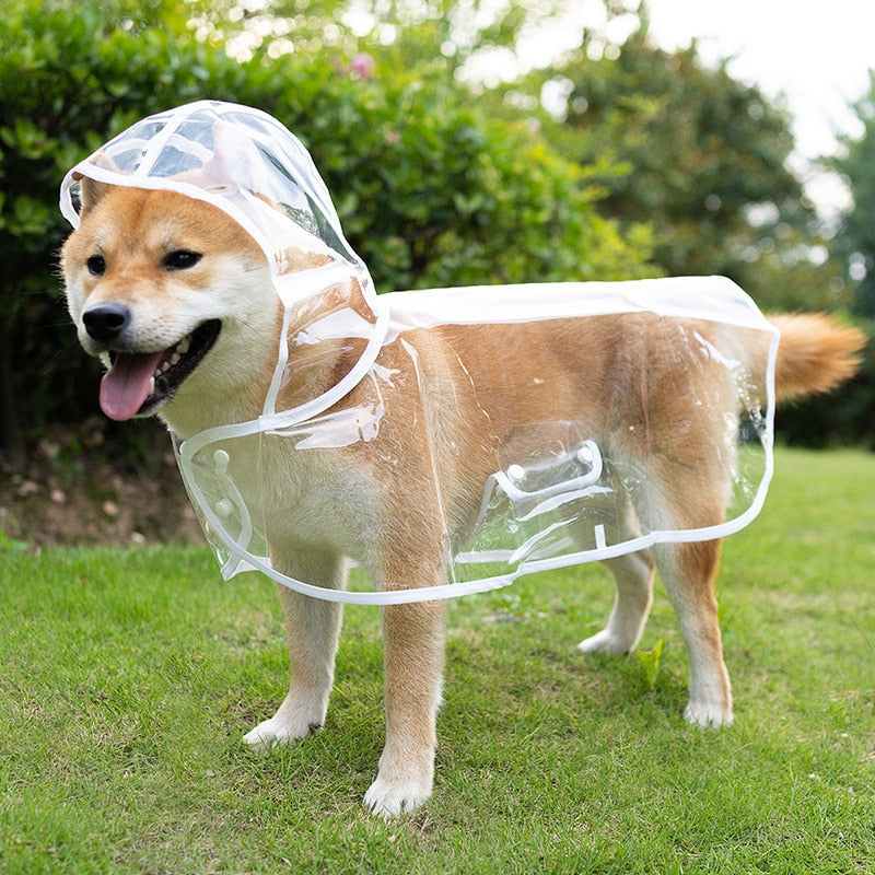 Pet Dog Puppy Transparent Rainwear Raincoat