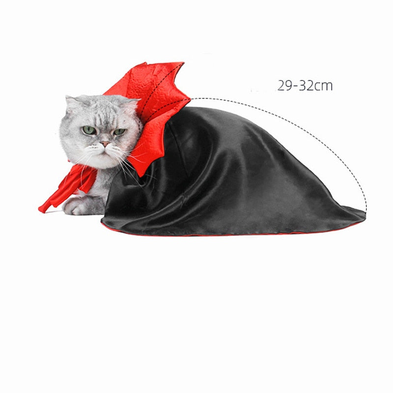 Cute Cat Vampire Halloween Costume