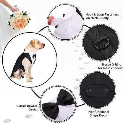 Dapper Dog Attire: Bow Tie Tuxedo, Party Dress, and More