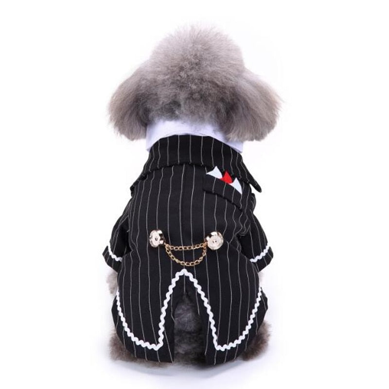 Gentleman Dog Clothes Dog Wedding Outfit