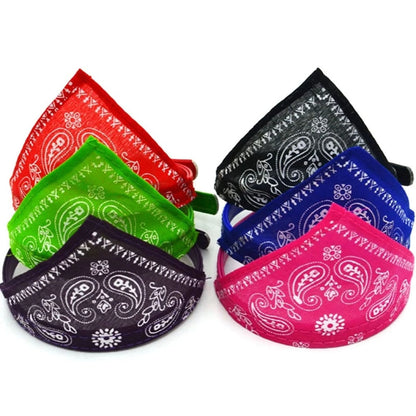 Bandana Collar