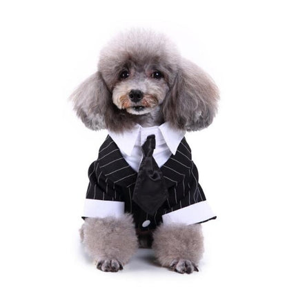 Gentleman Dog Clothes Dog Wedding Outfit