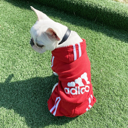 Adidog Sweater