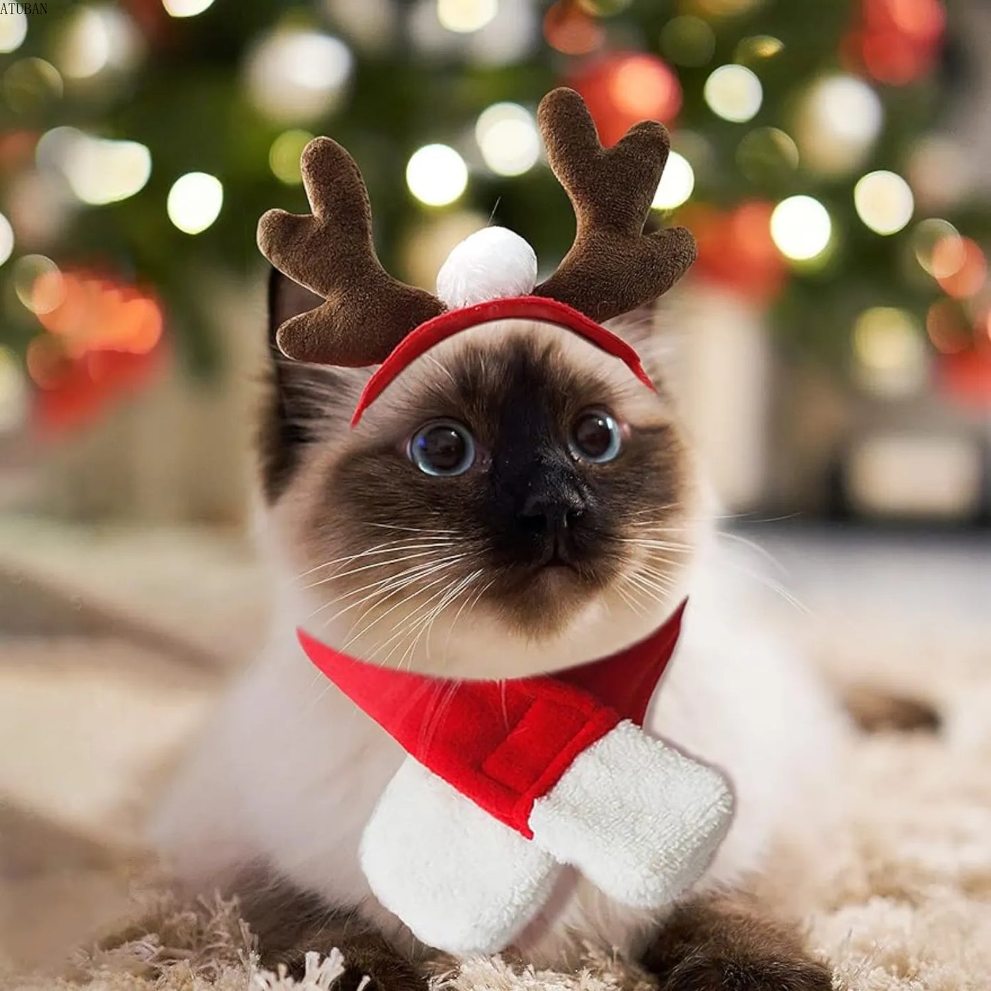 Reindeer Pet Costume