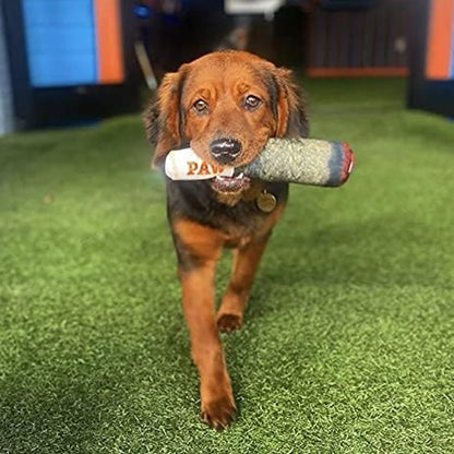 PAW Cigar Chew Toy