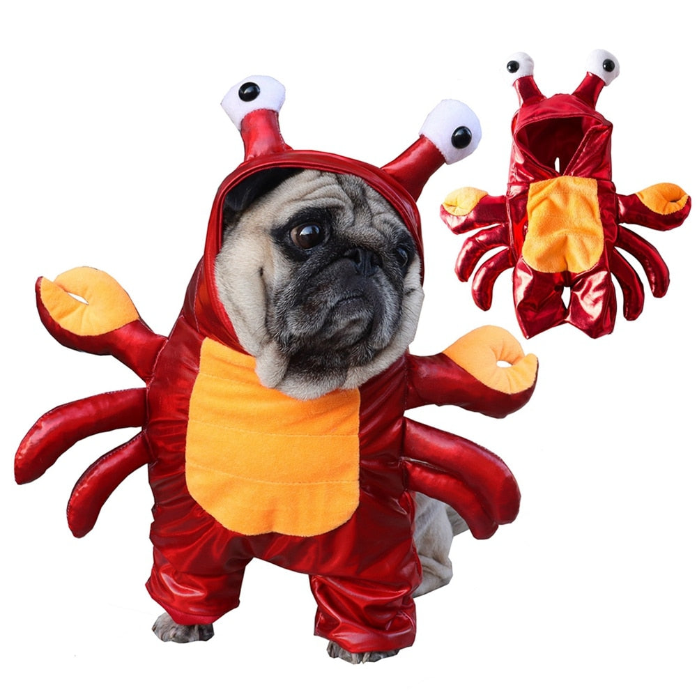 Pet Halloween Costume Collection