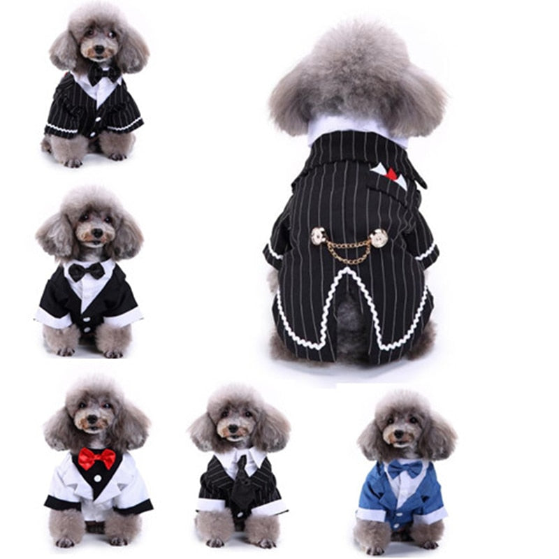 Gentleman Dog Clothes Dog Wedding Outfit