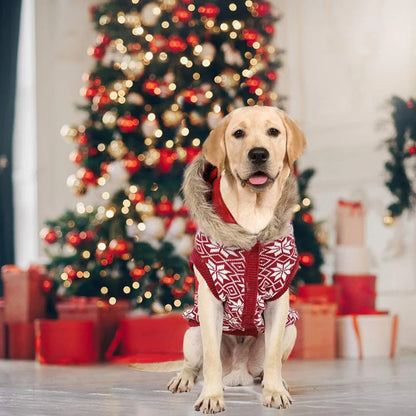 Christmas Sweater with Reindeer Ears