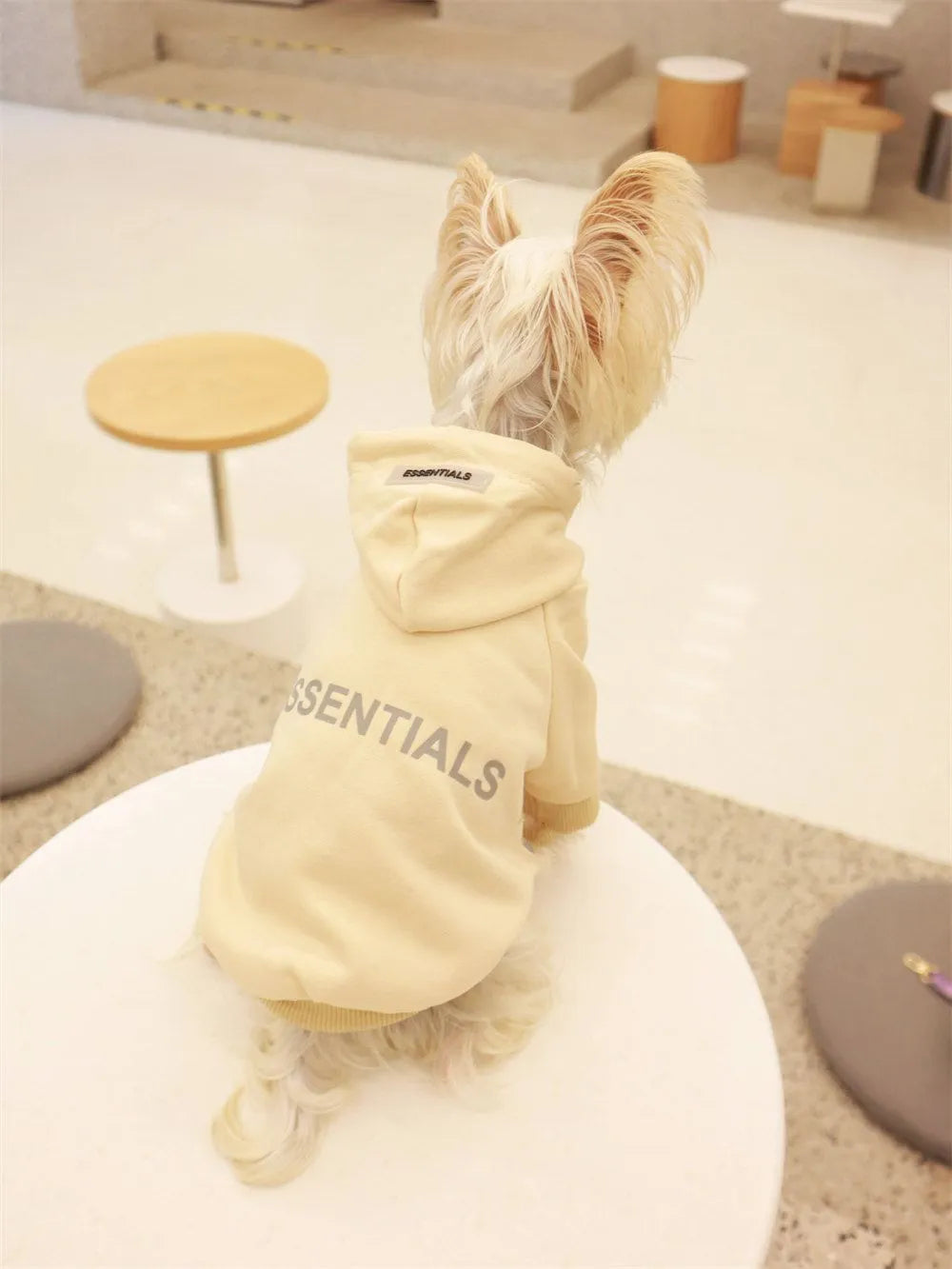 Small Dog Sweatshirt