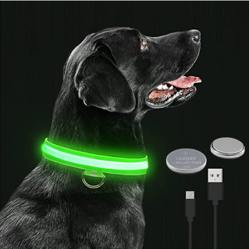 LED Glowing Collar