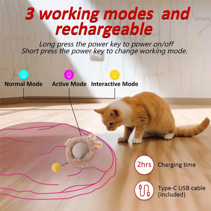 Interactive Cat Toy