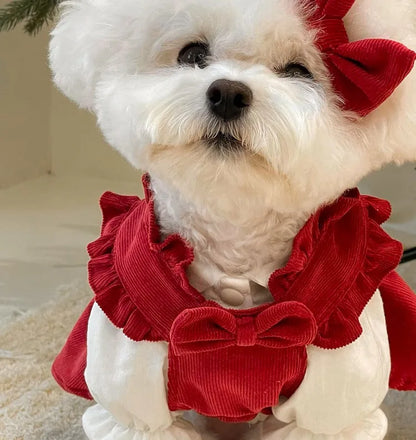 Puppy Bow Knot Dress