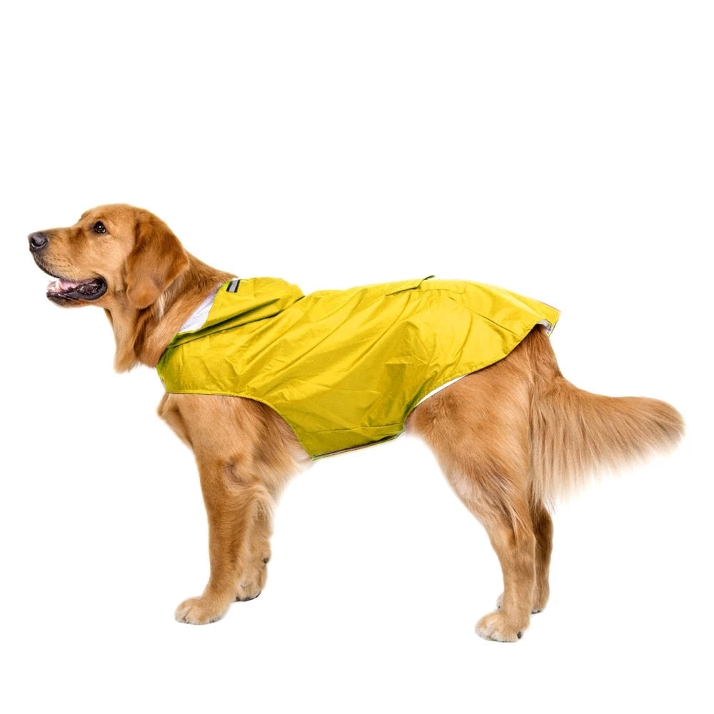 Reflective Dog Raincoat: Stay Dry in Style!