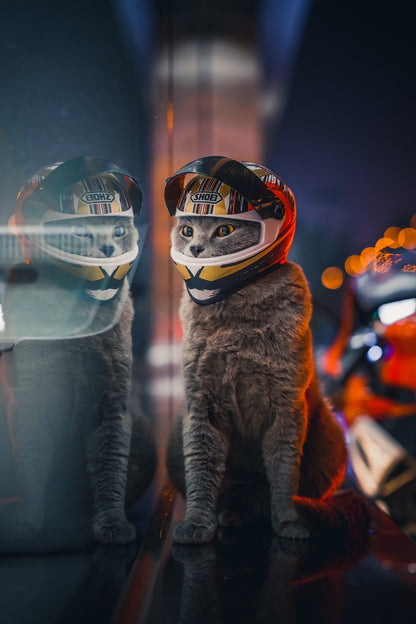 Small Pet Motorcycle Helmet