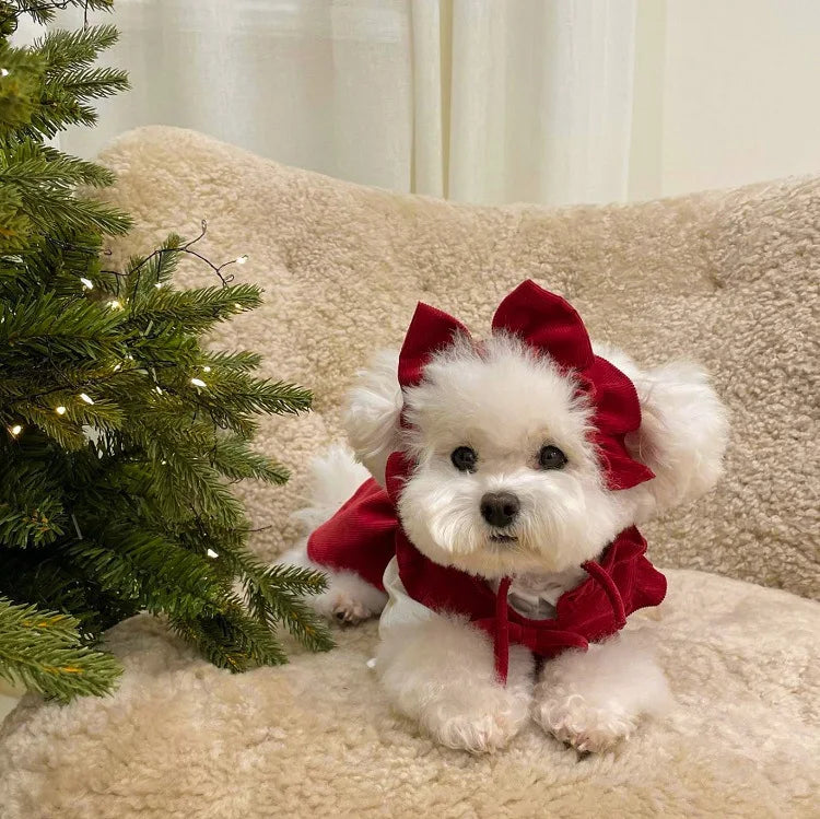 Puppy Bow Knot Dress