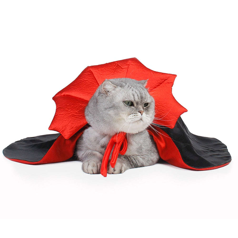 Cute Cat Vampire Halloween Costume