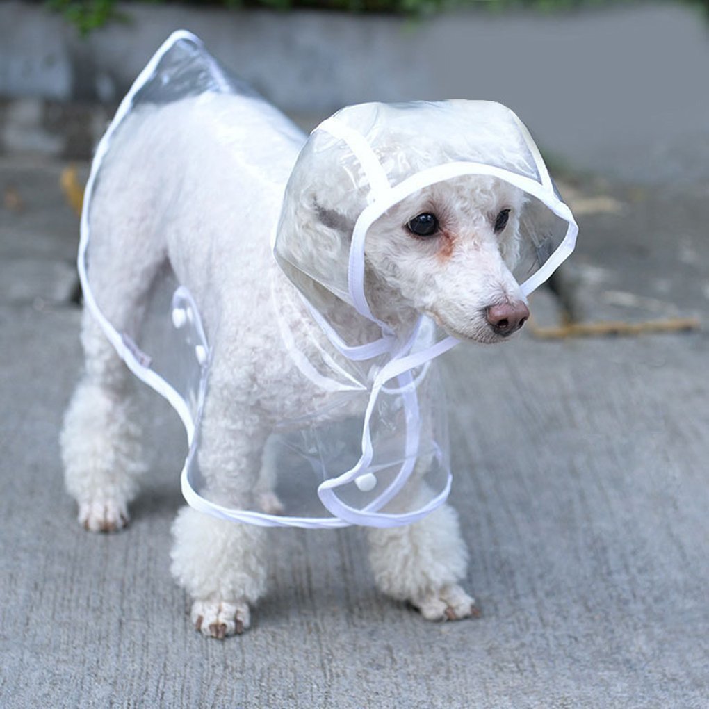 Pet Dog Puppy Transparent Rainwear Raincoat