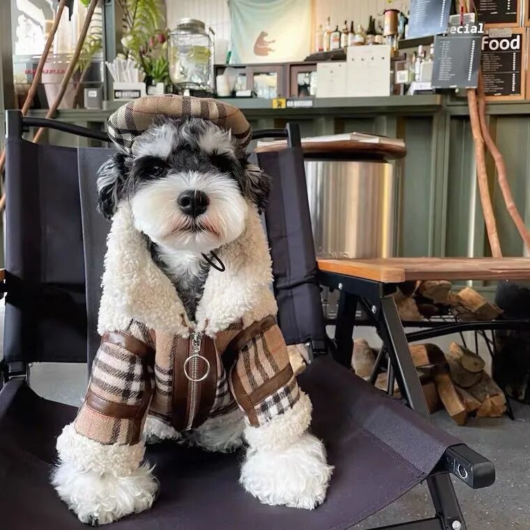 Faux Designer Dog Jacket