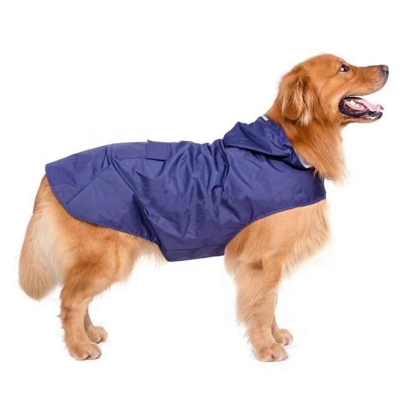 Reflective Dog Raincoat: Stay Dry in Style!