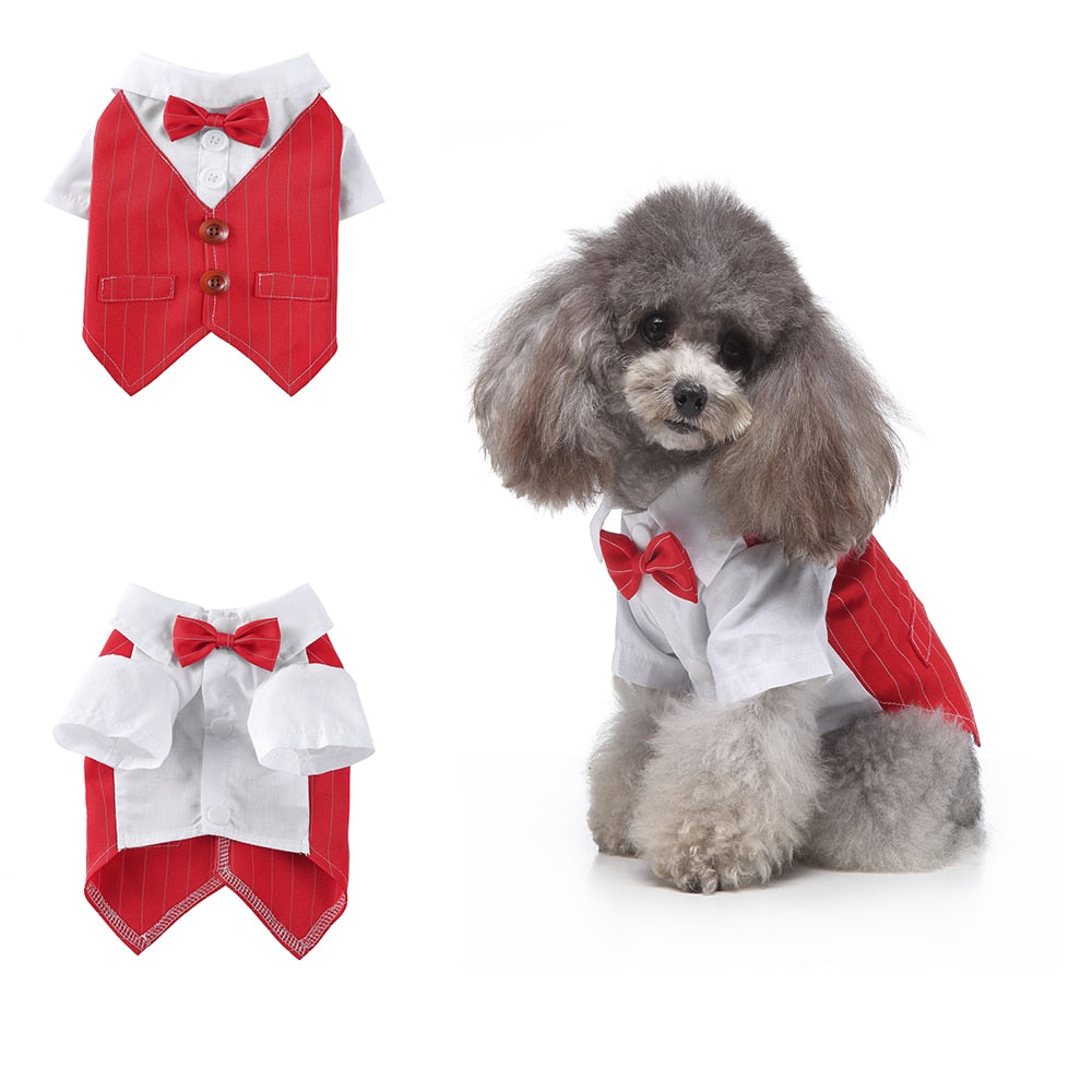 Gentleman Dog Clothes Dog Wedding Outfit