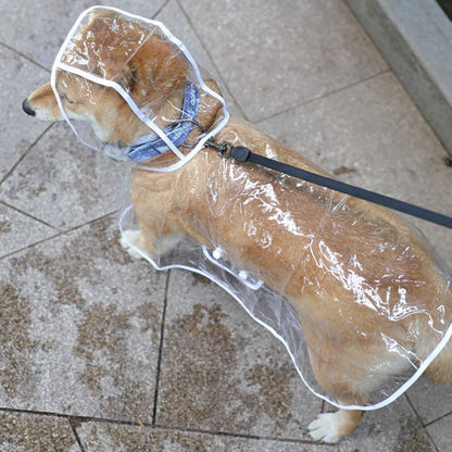 Pet Dog Puppy Transparent Rainwear Raincoat