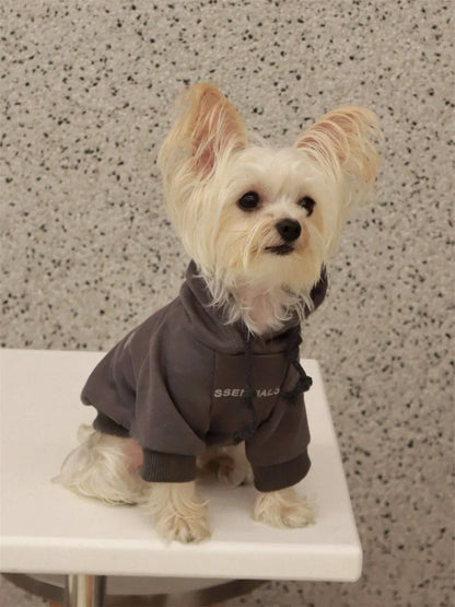 Small Dog Sweatshirt