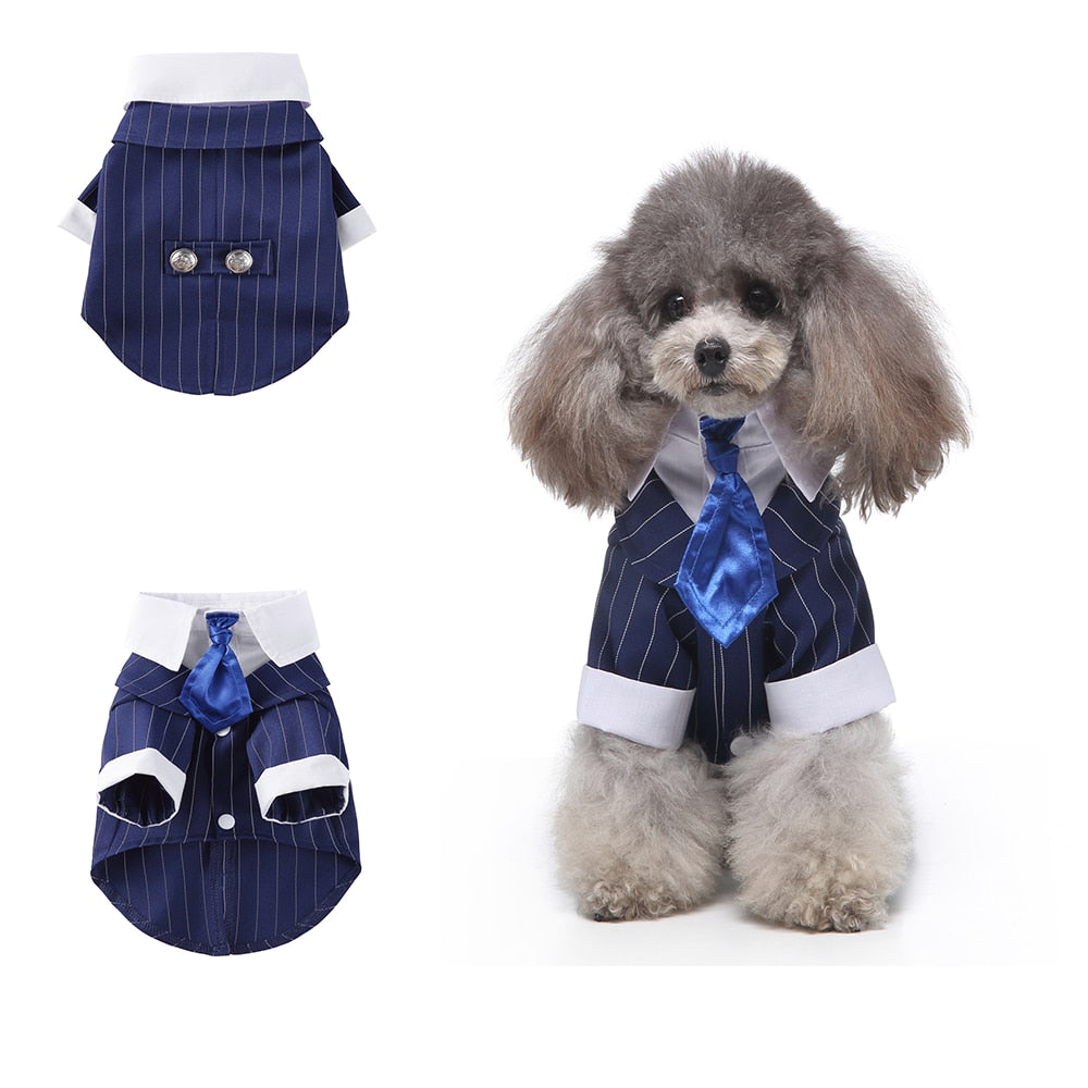 Gentleman Dog Clothes Dog Wedding Outfit