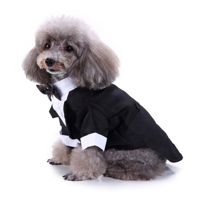 Gentleman Dog Clothes Dog Wedding Outfit